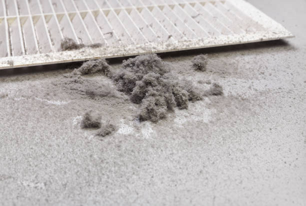 Best Residential Air Duct Cleaning  in Greensboro, AL