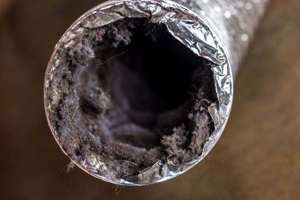 Best Best Air Duct Cleaning Near Me  in Greensboro, AL
