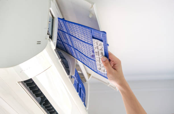 Best Dryer Vent Cleaning Services  in Greensboro, AL