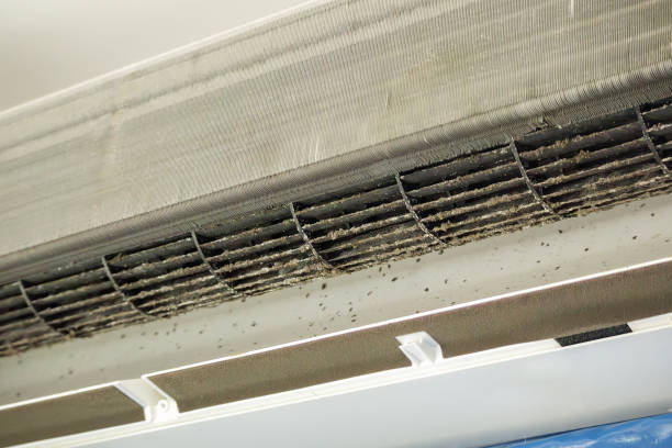 Best Emergency Air Duct Cleaning  in Greensboro, AL