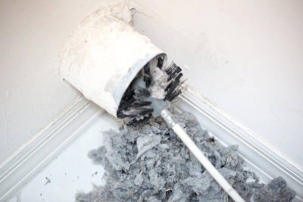 Best HVAC Air Duct Cleaning  in Greensboro, AL